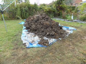 16 - Big pile of dirt